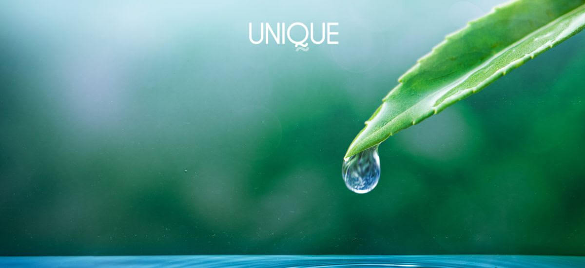 économiser l'eau piscine